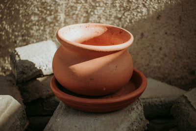 Shallow garden bowl planter on stone - category image