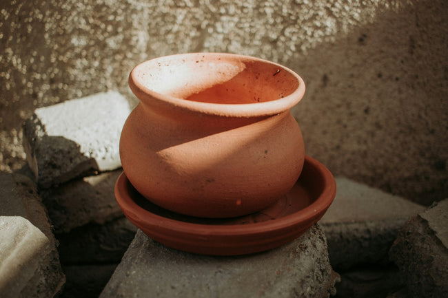 Shallow garden bowl planter on stone - category image