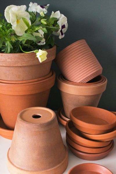 Tall planter with garden planting - category image