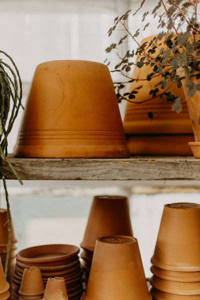 Garden plant stand with potted plants - category image