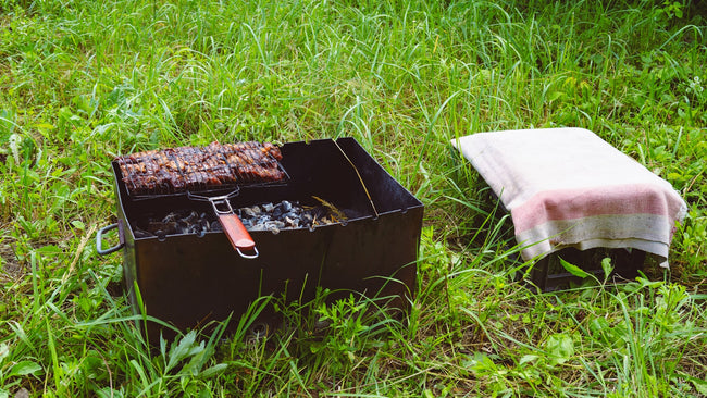 Barbecue cooking outdoors on grass - category image